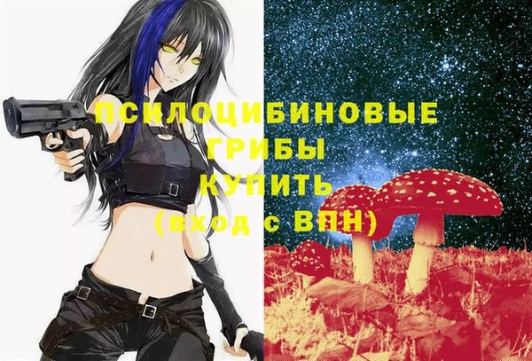 дживик Белоозёрский